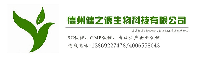 桑葉提取物 古桑養(yǎng)生茶 袋泡茶加工企業(yè)德州健之源